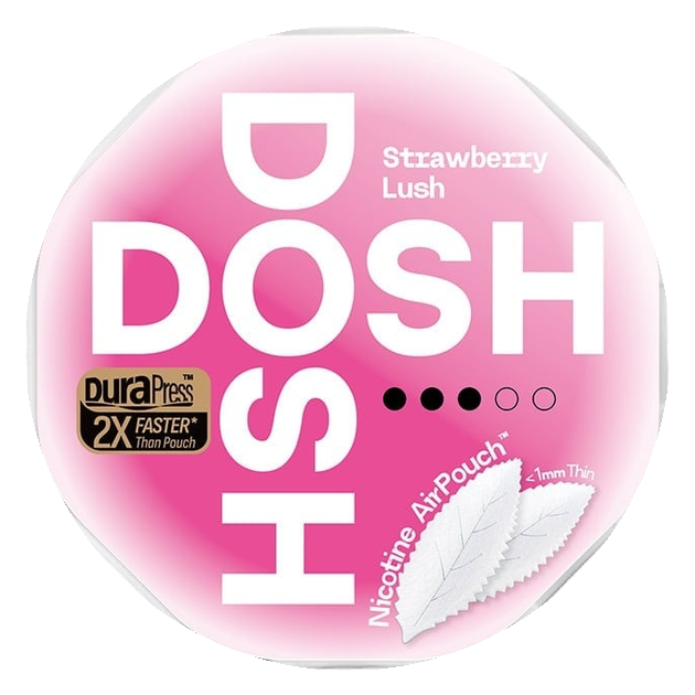 DOSH Strawberry Lush Medium