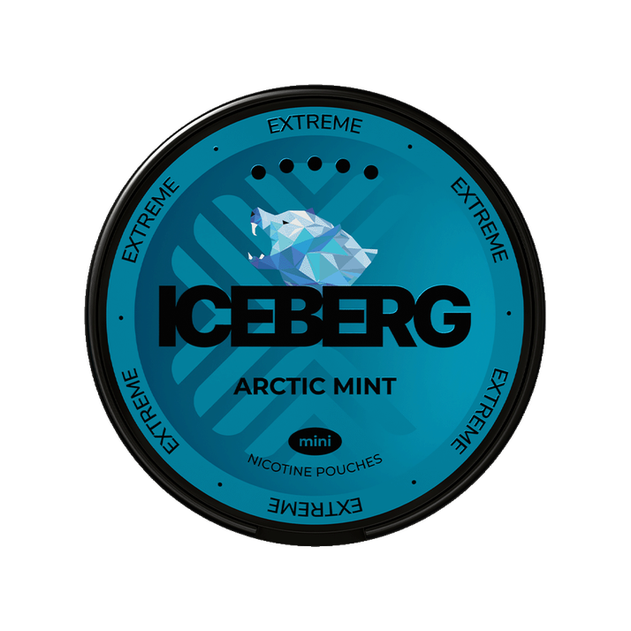 Iceberg Arctic Mint Mini