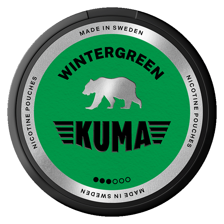 Kuma Wintergreen