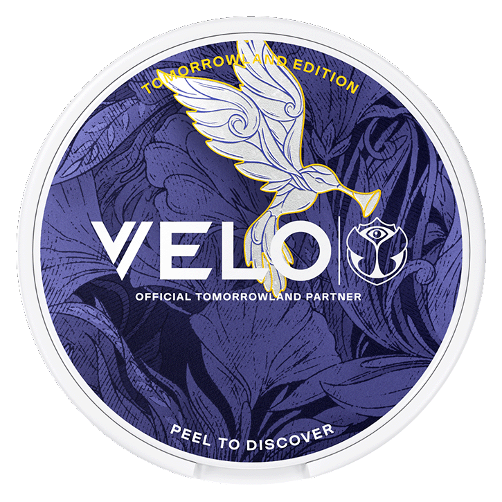 Velo Tomorrowland LTD 2026