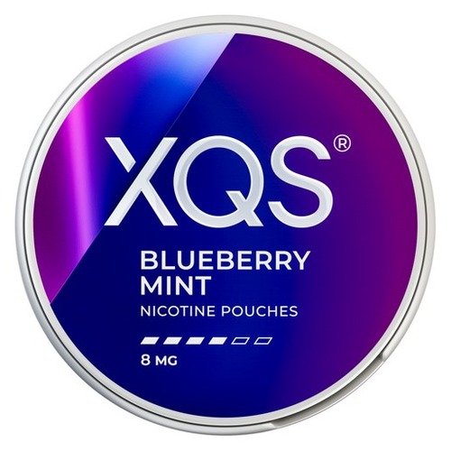 XQS Blueberry Mint